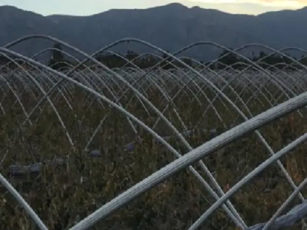 gas pipeline coating,carbon steel pipe,coated gas pipe