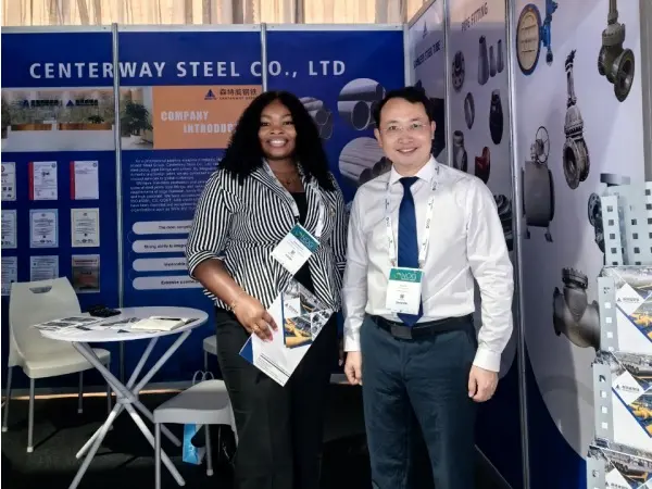 L80 tubing,fbe lined pipe,a106 pipe